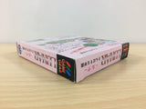 Lunar Sanposuru Gakuen BOXED Sega Game Gear Japan - DF9850