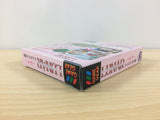 Lunar Sanposuru Gakuen BOXED Sega Game Gear Japan - DF9850
