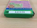 Burger Time Deluxe BOXED GameBoy Game Boy Japan - UB6828
