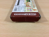 Daisuki Teddy Bear BOXED GameBoy Advance Japan - UB1810