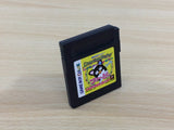 Dancing Furby BOXED GameBoy Game Boy Japan - UD4416