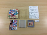 Magic Knight Rayearth BOXED GameBoy Game Boy Japan - UB3364