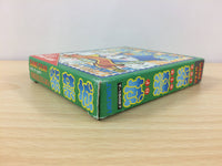 DF4219 Shikinjoh BOXED Sega Game Gear Japan