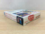 Hyokkori Hyoutanjima Hyoutanjima no Daikou Umi BOXED Sega Game Gear - DG8784