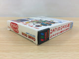 Hyokkori Hyoutanjima Hyoutanjima no Daikou Umi BOXED Sega Game Gear - DG8784