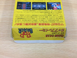 Taisengata Daisenryaku G BOXED Sega Game Gear Japan - DG6685