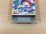 Magic Knight Rayearth BOXED GameBoy Game Boy Japan - UB3364