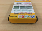 Pocket Densha BOXED GameBoy Game Boy Japan - UD1567