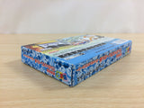 ud7031 Grandpa Danger Dangerous Jiisan Tsuu 2 BOXED GameBoy Advance Japan