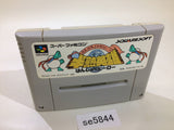 Hanjuku Hero SNES Super Famicom Japan - SE5844