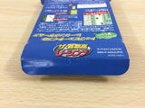 The Shutokou Highway Racing BOXED GameBoy Game Boy Japan - UB7194