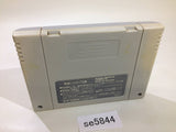 Hanjuku Hero SNES Super Famicom Japan - SE5844