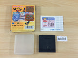Woody Pop Shinjinrui no Block Kuzushi BOXED Sega Game Gear Japan - DG8786