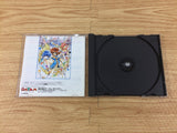 Dragon Master Silk Sega Saturn Japan - DH2508