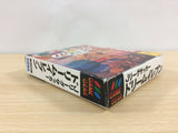 J.League Soccer Dream Eleven BOXED Sega Game Gear Japan - UB4675