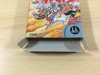 ua9110 Tenchi wo Kurau BOXED GameBoy Game Boy Japan