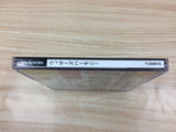 Wizards Harmony Sega Saturn Japan - FC6474