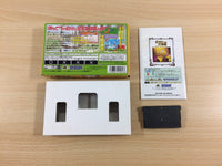 UD8163 Pinobee Adventure BOXED GameBoy Advance Japan
