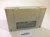 Dragon Quest V 5 SNES Super Famicom Japan - SE8291