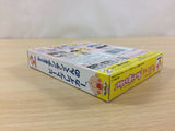 Hanasakatenshi Tentenkun Beat Breaker BOXED GameBoy Game Boy Japan - UC7105