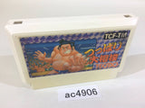 AC4906 Tsuppari Ozumo Sumo NES Famicom Japan