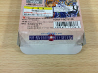 DG4851 Langrisser Millennium WS The Last Century BOXED Wonder Swan Bandai Japan
