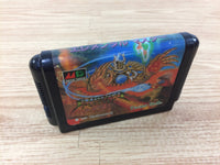 DH2099 Elemental Master BOXED Mega Drive Genesis Japan