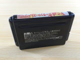 de9274 The Newzealand Story BOXED Mega Drive Genesis Japan