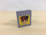Hammerin' Harry Daiku no Gen san Ghost Building BOXED Game Boy Japan - UB5237