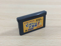 UD8163 Pinobee Adventure BOXED GameBoy Advance Japan