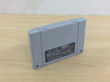 Las Vegas Dream In Golden Paradise BOXED SNES Super Famicom Japan - UC8743
