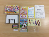 UD3903 Hello! Idol Debut BOXED GameBoy Advance Japan