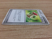 CA9152 Leftovers I - DP4 Leftovers Pokemon Card TCG Japan