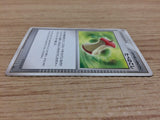 CA9152 Leftovers I - DP4 Leftovers Pokemon Card TCG Japan