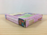 df4223 Mickey Mouse no Castle Illusion BOXED Sega Game Gear Japan