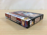 Senkai Ibunroku Juntei Taisen BOXED GameBoy Game Boy Japan - UD6210