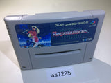 as7295 The Ninja Warriors Again SNES Super Famicom Japan