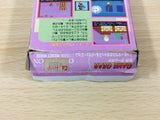 df4223 Mickey Mouse no Castle Illusion BOXED Sega Game Gear Japan