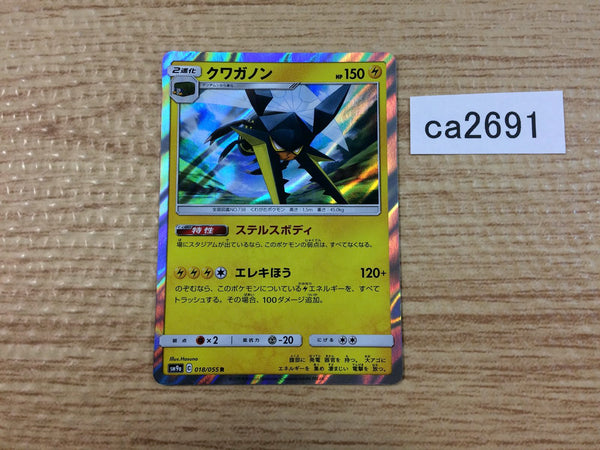 CA2691 Vikavolt Lightning R SM9a 018/055 Pokemon Card TCG Japan