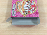 UD5165 Zettai Zetsumei Dangerous Grandpa BOXED GameBoy Advance Japan