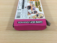 UD5165 Zettai Zetsumei Dangerous Grandpa BOXED GameBoy Advance Japan