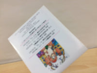 DG6145 Magma Project Hacker BOXED Famicom Disk Japan