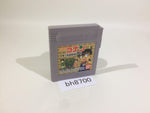 BH8700 Detective Conan Chika Yuuenchi Satsujin Jiken GameBoy Game Boy Japan