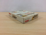 LodossTouSenkiEiyuuKishiden Record of Lodoss War BOXED Game Boy Japan - UB3497