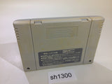 Dragon Quest V 5 SNES Super Famicom Japan - SH1300