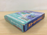 Phantasy Star Gaiden BOXED Sega Game Gear Japan - UB9534