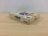 LodossTouSenkiEiyuuKishiden Record of Lodoss War BOXED Game Boy Japan - UB3497