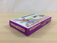 UD7548 Rockman Zero Megaman BOXED GameBoy Advance Japan