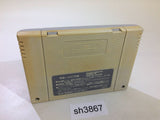 Dragon Quest V 5 SNES Super Famicom Japan - SH3867