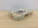 LodossTouSenkiEiyuuKishiden Record of Lodoss War BOXED Game Boy Japan - UB3497